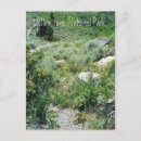Recherche de summer cartes postales Fleurs