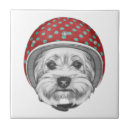 Recherche de casque carreaux Aviation