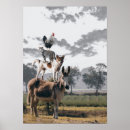 Recherche de idiotes posters Animal