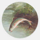 Recherche de ruisseau autocollants Omble de fontaine