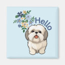 Recherche de petit chien magnets Chiot