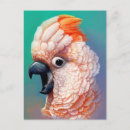 Recherche de grand perroquet cartes postales Oiseau