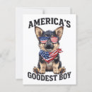 Recherche de chien policier cartes postales Berger allemand