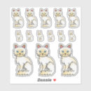 Recherche de chat de ragdoll Minou