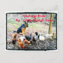 Recherche de petit berger cartes postales Chien