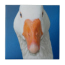 Recherche de oie carreaux Blanc