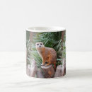 Recherche de suricate tasses Enfants