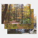 Recherche de chutes papier cadeau Nature