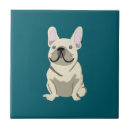 Recherche de bouledogue français carreaux Frenchie
