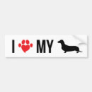 Recherche de weiner voiture autocollants Chien