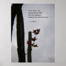 Recherche de zen posters Nature