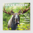 Recherche de rack cartes postales Nous avons proposé