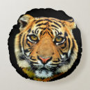Recherche de tête de tigre coussins Nature