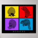 Recherche de castor posters Bleu