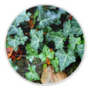 Recherche de feuille verte boutons et poignées de porte Vigne