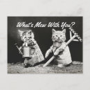 Recherche de chaton adorable cartes postales Vintage