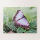 Recherche de morpho puzzles Nature