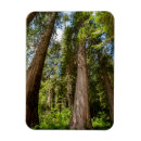 Recherche de occidental magnets Amérique