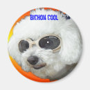 Recherche de drôles frais magnets Chien