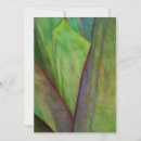 Recherche de agave vœux cartes Habitat