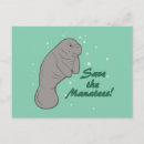 Recherche de lamantins cartes postales Vache marine