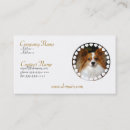 Recherche de jouet de chien cartes visite Chiens