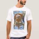 Recherche de jeune hibou Sauvage