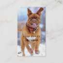 Recherche de service vétérinaire cartes visite Dogs