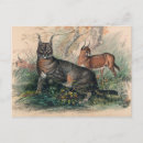 Recherche de caracal cartes postales Animal