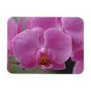 Recherche de goutte de pluie magnets Fleur