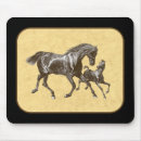Recherche de gambades Chevaux