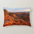 Recherche de grand canyon coussins Paysage