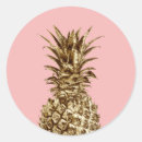 Recherche de ananas coloré autocollants Tropical