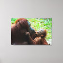 Recherche de orang outan art Jungle