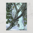 Recherche de hibou neigeux posters Hiboux enneigé
