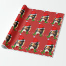 Recherche de sheltie papier cadeau Animaux familiers