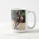 Recherche de andalou tasses Lusitano