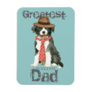 Recherche de border collie magnets Colley