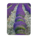 Recherche de provence magnets Europe
