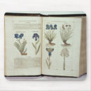 Recherche de fines herbes tapis souris École