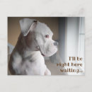 Recherche de chien boxeur cartes postales Canine
