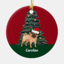 Recherche de pug dog Adorable