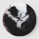 Recherche de chat blanc noir horloges Chats