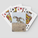 Recherche de queue jeux de cartes Animal