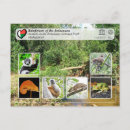 Recherche de forêts tropicales cartes postales Parc national