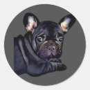 Recherche de bulldogge autocollants Bulldog français