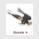 Recherche de oiseaux en vol autocollants Aigle chauve