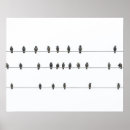Recherche de oiseaux sur un fil posters Minimaliste