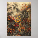 Recherche de illustration vintage art Botanique