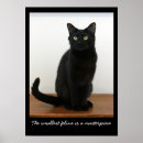 Recherche de chat noir yeux verts posters Chats noirs